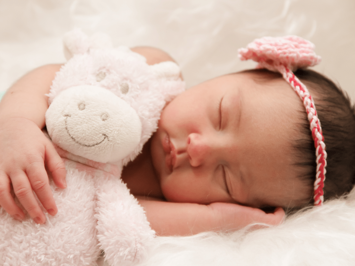 Newborn baby sleeps with a cuddly toy in his hand